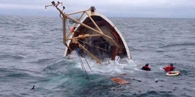 Supplier Alat Marine Murah