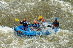 Distributor Life Jacket